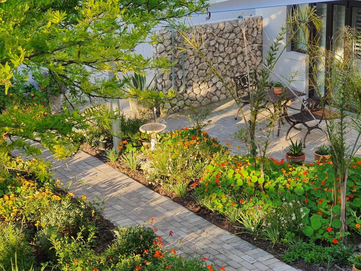 Albatross Guesthouse 랑게바안 외부 사진